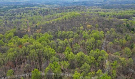 Photo #9 of CASTLETON VIEW ROAD, CASTLETON, VA 25.2 acres