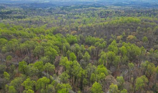 Photo #10 of CASTLETON VIEW ROAD, CASTLETON, VA 25.2 acres