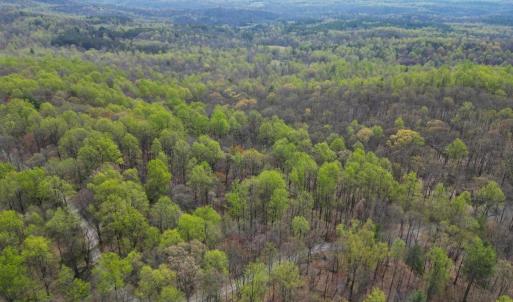 Photo #11 of CASTLETON VIEW ROAD, CASTLETON, VA 25.2 acres