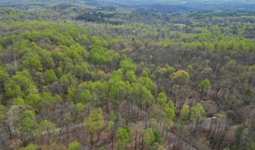 Photo #12 of CASTLETON VIEW ROAD, CASTLETON, VA 25.2 acres