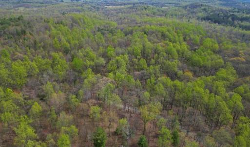 Photo #13 of CASTLETON VIEW ROAD, CASTLETON, VA 25.2 acres