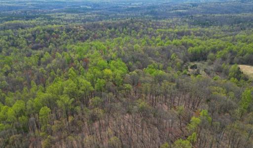 Photo #35 of CASTLETON VIEW ROAD, CASTLETON, VA 25.2 acres