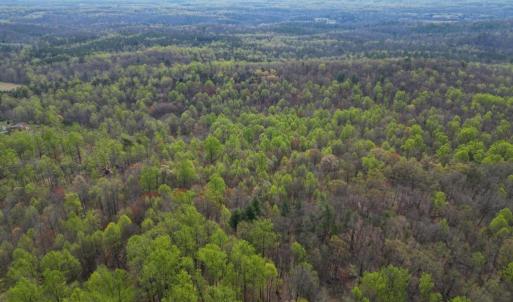 Photo #36 of CASTLETON VIEW ROAD, CASTLETON, VA 25.2 acres