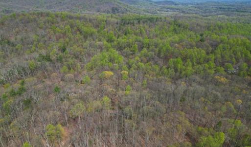 Photo #37 of CASTLETON VIEW ROAD, CASTLETON, VA 25.2 acres