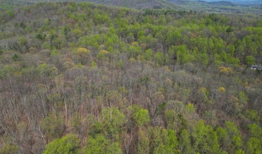 Photo #38 of CASTLETON VIEW ROAD, CASTLETON, VA 25.2 acres