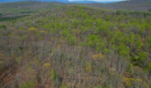 Photo #39 of CASTLETON VIEW ROAD, CASTLETON, VA 25.2 acres