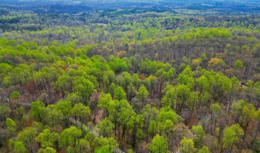 Photo #35 of CASTLETON VIEW ROAD, CASTLETON, VA 25.2 acres