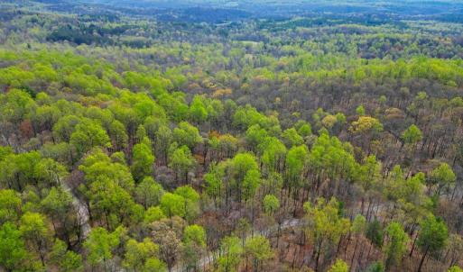Photo #2 of CASTLETON VIEW ROAD, CASTLETON, VA 25.2 acres