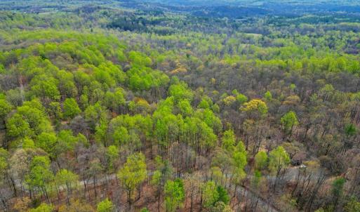 Photo #9 of CASTLETON VIEW ROAD, CASTLETON, VA 25.2 acres