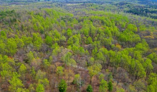 Photo #10 of CASTLETON VIEW ROAD, CASTLETON, VA 25.2 acres
