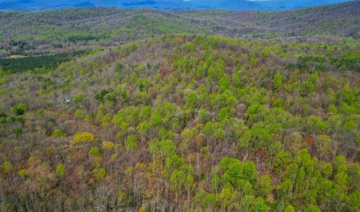 Photo #1 of CASTLETON VIEW ROAD, CASTLETON, VA 25.2 acres