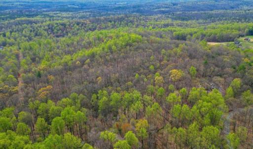 Photo #8 of CASTLETON VIEW ROAD, CASTLETON, VA 25.2 acres