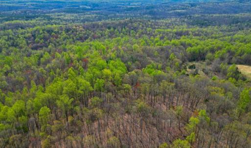 Photo #32 of CASTLETON VIEW ROAD, CASTLETON, VA 25.2 acres