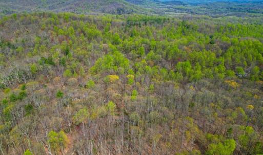 Photo #33 of CASTLETON VIEW ROAD, CASTLETON, VA 25.2 acres