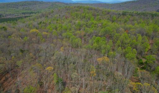 Photo #34 of CASTLETON VIEW ROAD, CASTLETON, VA 25.2 acres