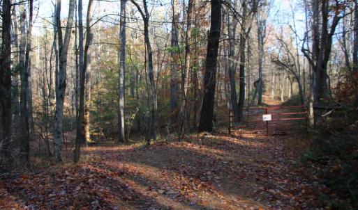 Photo #2 of MIDDLE OF NO WAY LN, CASTLETON, VA 30.5 acres