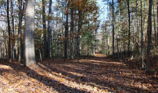 Photo #22 of MIDDLE OF NO WAY LN, CASTLETON, VA 30.5 acres