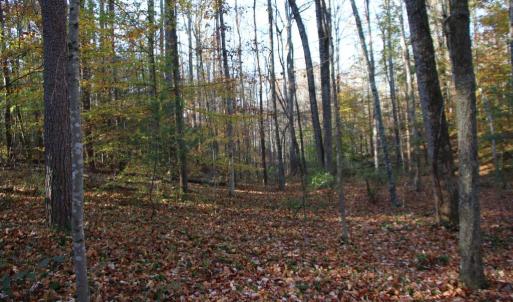 Photo #6 of MIDDLE OF NO WAY LN, CASTLETON, VA 30.5 acres