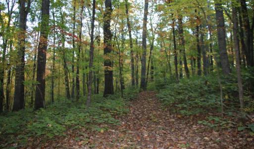 Photo #12 of MIDDLE OF NO WAY LN, CASTLETON, VA 30.5 acres