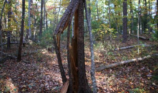 Photo #14 of MIDDLE OF NO WAY LN, CASTLETON, VA 30.5 acres