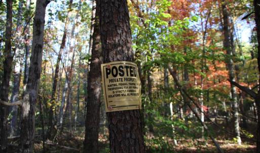 Photo #18 of MIDDLE OF NO WAY LN, CASTLETON, VA 30.5 acres