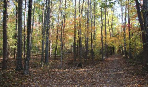 Photo #17 of MIDDLE OF NO WAY LN, CASTLETON, VA 30.5 acres