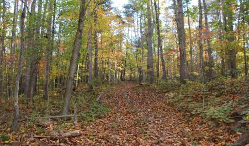 Photo #19 of MIDDLE OF NO WAY LN, CASTLETON, VA 30.5 acres