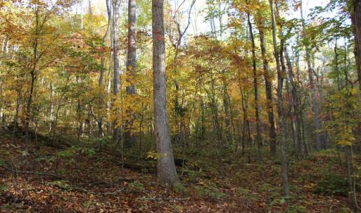 Photo #21 of MIDDLE OF NO WAY LN, CASTLETON, VA 30.5 acres