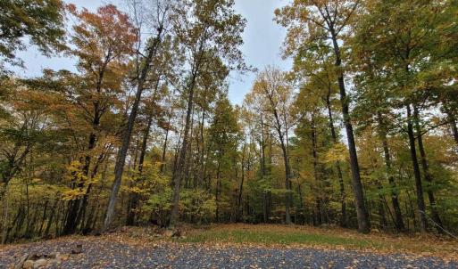 Photo #14 of WOODLANDS DRIVE, FLINT HILL, VA 14.4 acres
