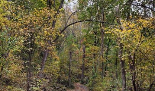 Photo #15 of WOODLANDS DRIVE, FLINT HILL, VA 14.4 acres