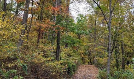 Photo #25 of WOODLANDS DRIVE, FLINT HILL, VA 14.4 acres
