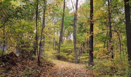 Photo #26 of WOODLANDS DRIVE, FLINT HILL, VA 14.4 acres