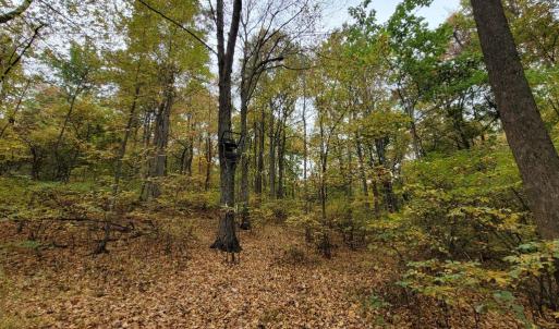 Photo #28 of WOODLANDS DRIVE, FLINT HILL, VA 14.4 acres