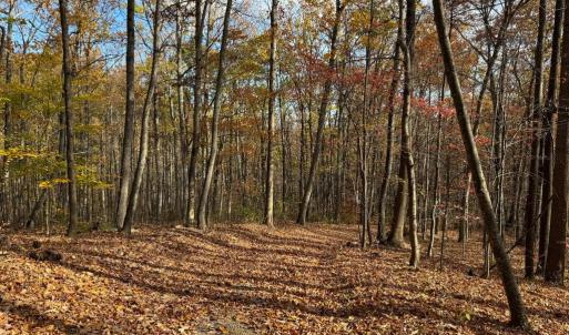 Photo #6 of WOODLANDS DRIVE, FLINT HILL, VA 14.4 acres