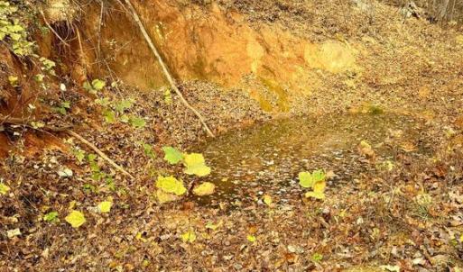 Photo #7 of WOODLANDS DRIVE, FLINT HILL, VA 14.4 acres