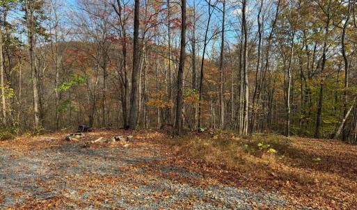 Photo #8 of WOODLANDS DRIVE, FLINT HILL, VA 14.4 acres