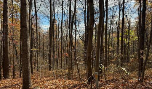 Photo #10 of WOODLANDS DRIVE, FLINT HILL, VA 14.4 acres