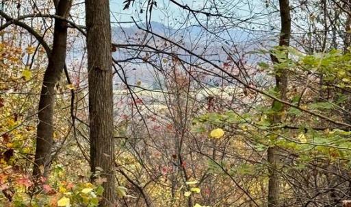 Photo #3 of WOODLANDS DRIVE, FLINT HILL, VA 14.4 acres