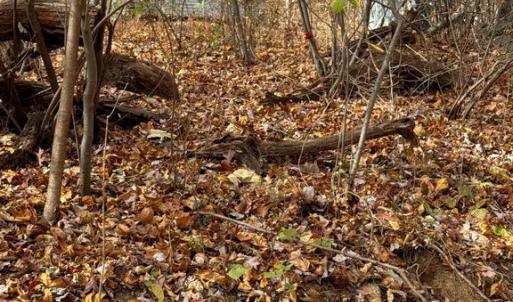 Photo #12 of WOODLANDS DRIVE, FLINT HILL, VA 14.4 acres