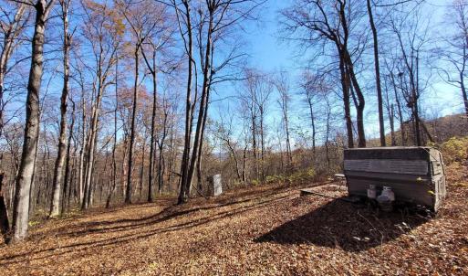 Photo #13 of WOODLANDS DRIVE, FLINT HILL, VA 14.4 acres