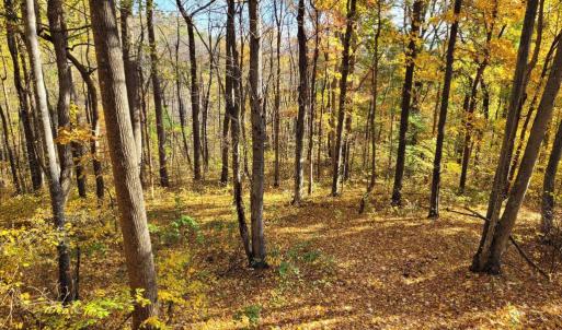 Photo #14 of WOODLANDS DRIVE, FLINT HILL, VA 14.4 acres