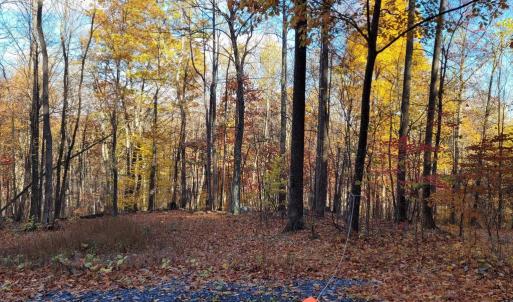 Photo #15 of WOODLANDS DRIVE, FLINT HILL, VA 14.4 acres