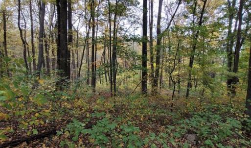 Photo #25 of WOODLANDS DRIVE, FLINT HILL, VA 14.4 acres