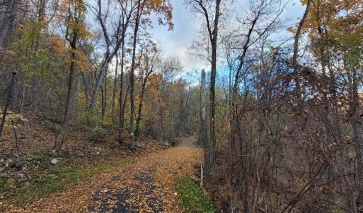 Photo #27 of WOODLANDS DRIVE, FLINT HILL, VA 14.4 acres