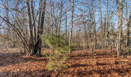 Photo #60 of 14 GLEN EAGLES DR, GORDONSVILLE, VA 0.5 acres