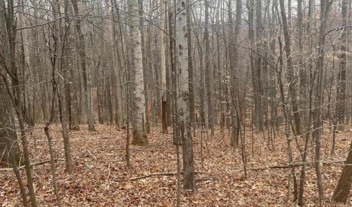 Photo #7 of DOGWOOD LANE, NELLYSFORD, VA 1.3 acres