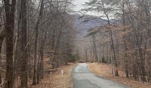 Photo #4 of DOGWOOD LANE, NELLYSFORD, VA 1.3 acres
