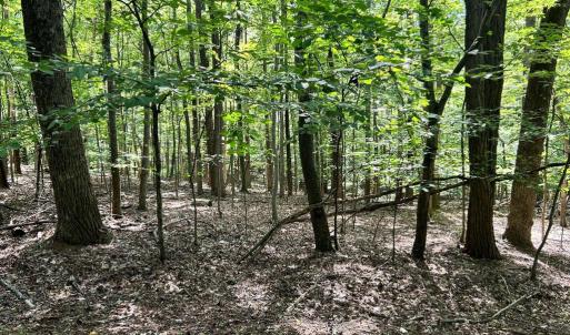 Photo #6 of DOGWOOD LANE, NELLYSFORD, VA 1.3 acres