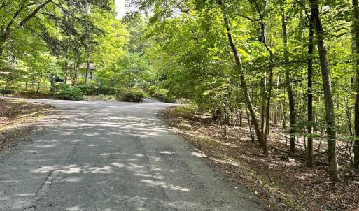 Photo #9 of DOGWOOD LANE, NELLYSFORD, VA 1.3 acres