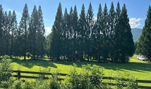 Photo #15 of DOGWOOD LANE, NELLYSFORD, VA 1.3 acres